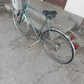 fransiyan Roma tigir