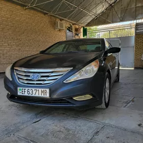 Hyundai Sonata 2010