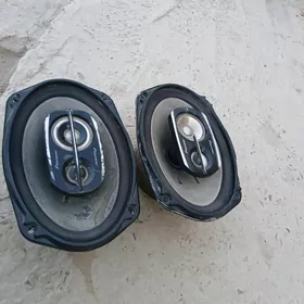 kalonka arginal basda cykany