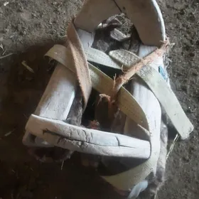 Gaňňa