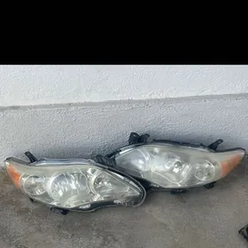 carolla fara