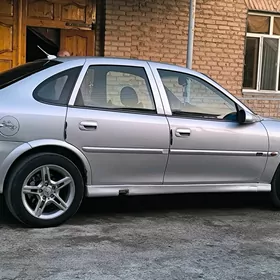 wektra b