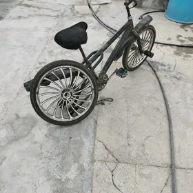 kama tigir