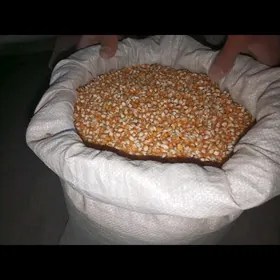 Achylak Mekge,Patyrak Mekge