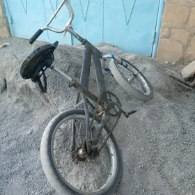 16lyk