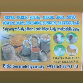 isgar gerek
