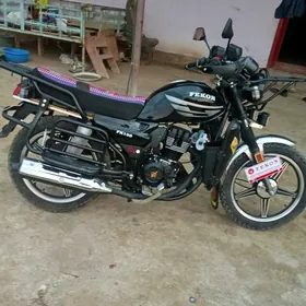 Fekon FK150-8G 2025