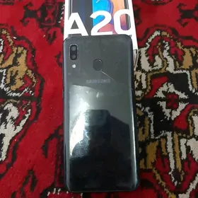 A20