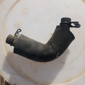 Sapun şlanga