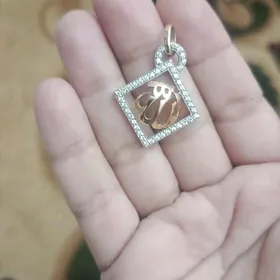 gyzyl klon