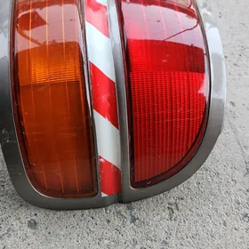 stopnik