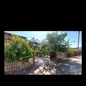 Daça Berzeñkanal