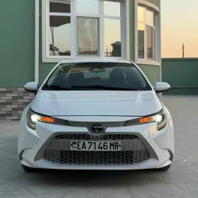 Toyota Corolla 2020
