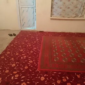 kwartyra gokje