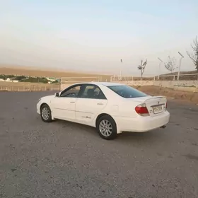 dyska