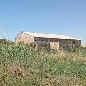 Аеропорт дача