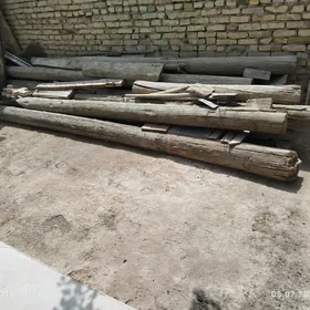 5 metrlik agaclar