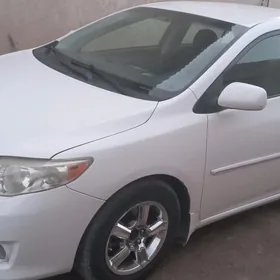 Toyota Corolla 2008