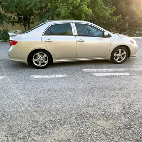 Toyota Corolla 2010