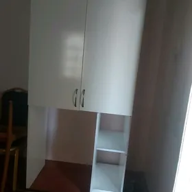 banya mebili