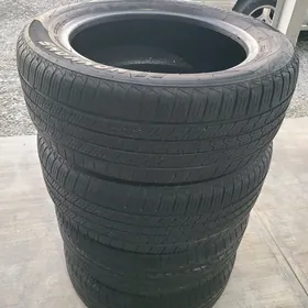Teker 225.55.17.