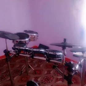 ALESIS BARABAN