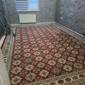 satlyk mir 8