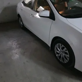 Toyota Corolla 2019