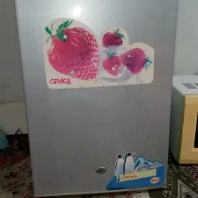 holadilnik холодильник.