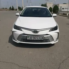 Toyota Corolla 2020