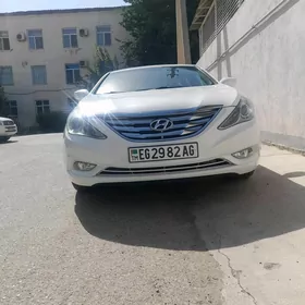 Hyundai Sonata 2010