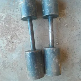 gantel