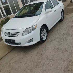 Toyota Corolla 2010
