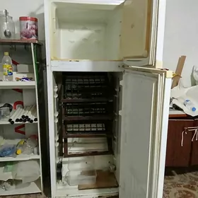 inkubator
