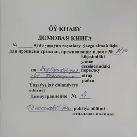 Satlyk jay