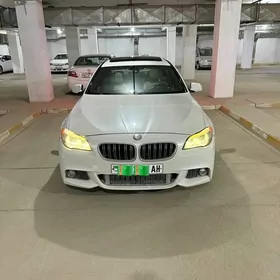 BMW F10 2010