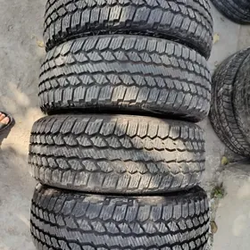 Firestone Teker
