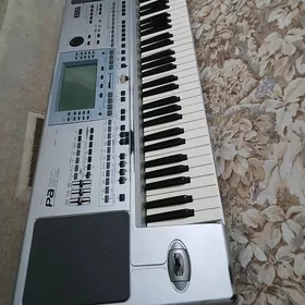 Blok KORG pa50