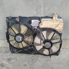wintlyator