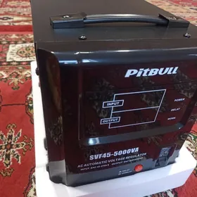 Tok kopeltyan Pitbul