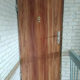 Железная дверь