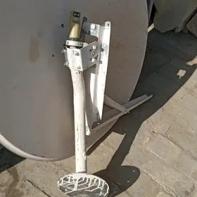 Kici antena