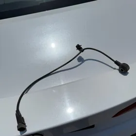 detonatsiýa datçik