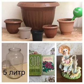 горшки для цветов
