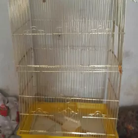 Клетка