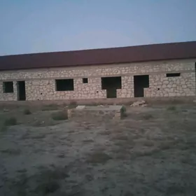 hojalyk jay