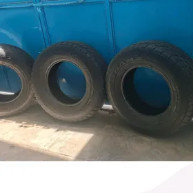 teker rabociy 17