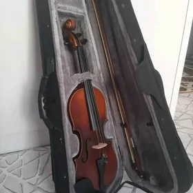 Skripka/скрипка