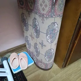 Haly.Žalyuz