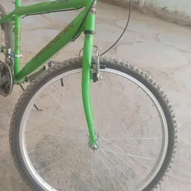 tigir Turkmenistan